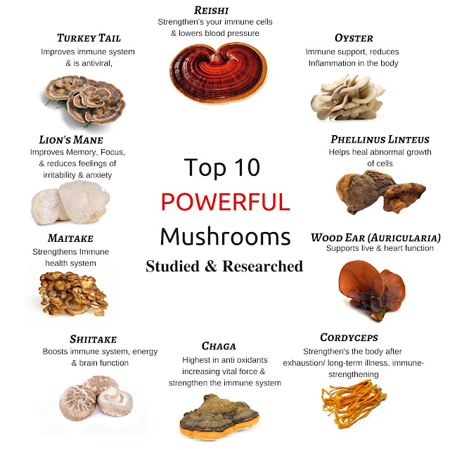 Benefits Of Adding Mushrooms To Your Diet By Barbies Beauty Bits And Naked Nutrient 